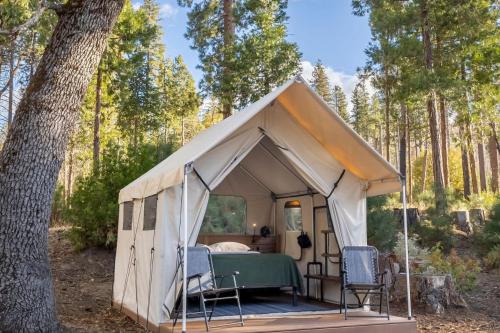 a tent with chairs and a bed in a forest at Evergreen Lodge at Yosemite in Groveland