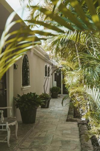 a courtyard of a house with palm trees and plants at La Villa Hibiscus, Saint Martin in Cul de Sac