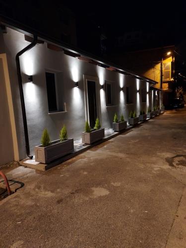 a row of potted plants on the side of a building at Center Oasis Appartmens in Tirana