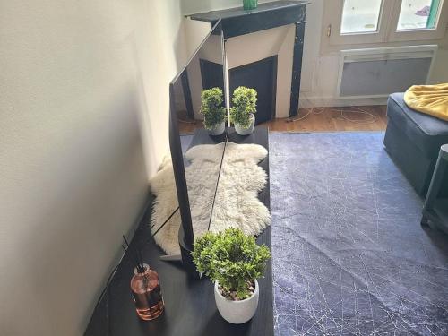 Fotografie z fotogalerie ubytování Nord de Paris pantin f2 terrasse v destinaci Pantin