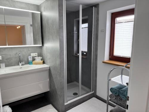 ein Bad mit einer Dusche, einem Waschbecken und einer Dusche in der Unterkunft Ferienwohnung Linde in Oberstaufen