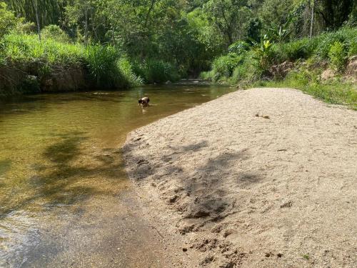 a dog standing in the water next to a river at Chalés Praias do Sana in Macaé
