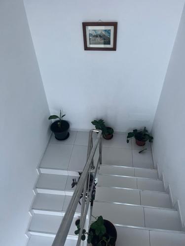 Fotografie z fotogalerie ubytování Oásis de retour v destinaci Ponta do Sol