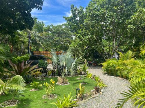 a garden with palm trees and plants at Wabi Sabi Sora in Punta Uva