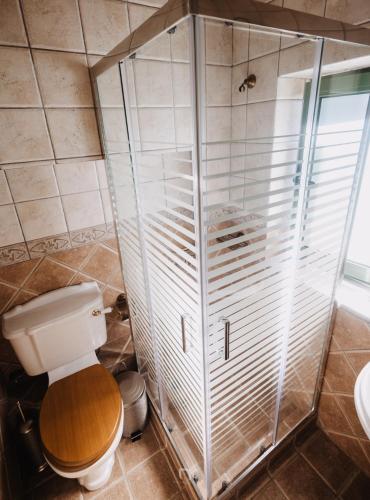 a bathroom with a toilet and a glass shower at Kalavryta Estate Villa in Kalavrita