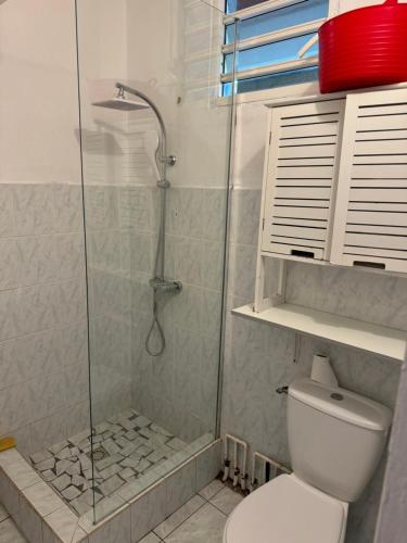 ein Badezimmer mit Dusche und Toilette in der Unterkunft Gîte Allée des Cocotiers in Saint-François
