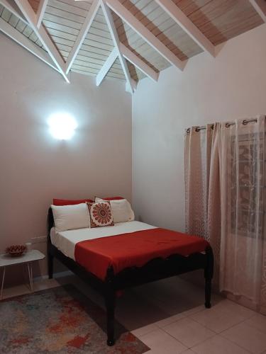 a bedroom with a bed with a red blanket at Wild Blue Lodge in Gwa Kay