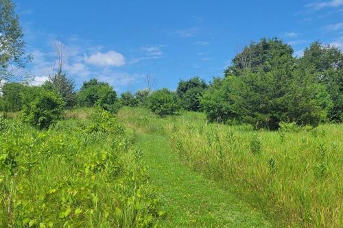 別荘の近くで見られる自然の景観