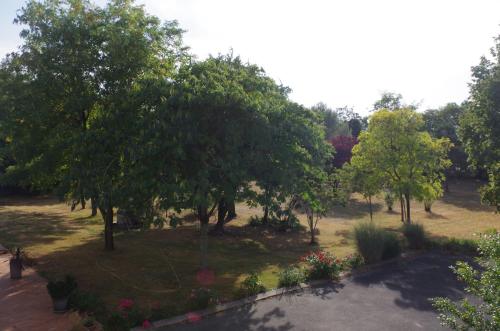 a view of a garden with trees and flowers at Les trois cèdres in Saint-ouen-dʼAunis