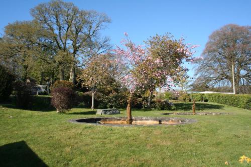 a park with a tree in the middle of a field at Great Trethew Hotel - Self Catering Lodges - Bar & Restaurant in Liskeard