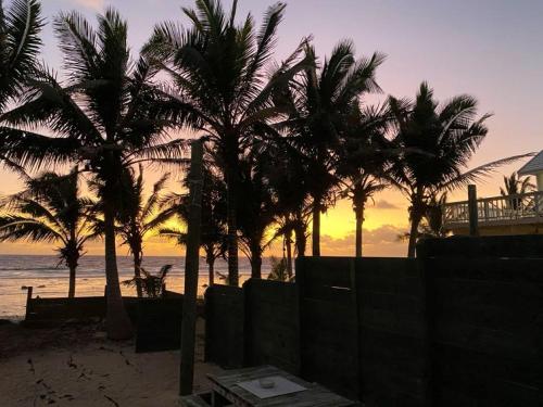 a group of palm trees on the beach at sunset at ShineAwayHomes - Family Beach Front central air con in Rarotonga
