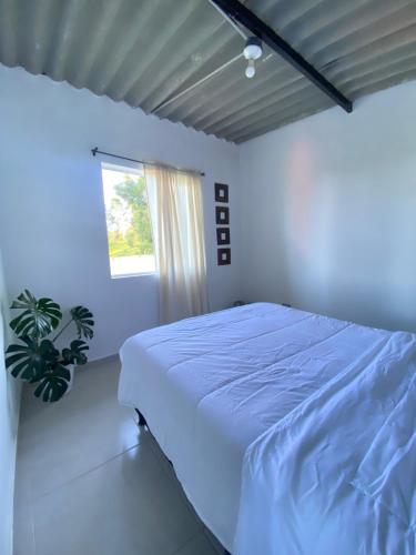 a white bedroom with a bed and a window at Cabaña privada cerca a termales San Vicente in Santa Rosa de Cabal