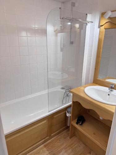 une salle de bain avec douche et lavabo dans l'établissement Appartement 4-6 pers - Station Super-Besse, à Super-Besse