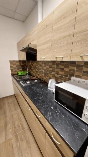 a kitchen with wooden cabinets and a counter top at Bonvolon in Prague