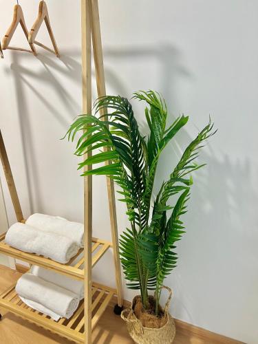 a palm plant in a basket next to a towel rack at Ekocheras @ Kuala Lumpur in Kuala Lumpur