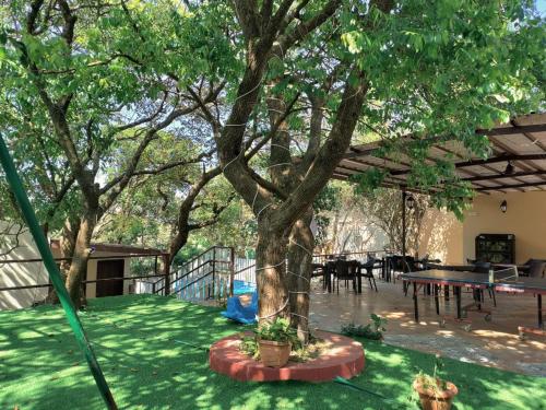 a tree in the middle of a yard with a table at Honeywood Holiday Homes in Mahabaleshwar