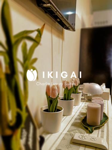 Ikigai Charlie Makati Condo Premium Comfort & Luxury