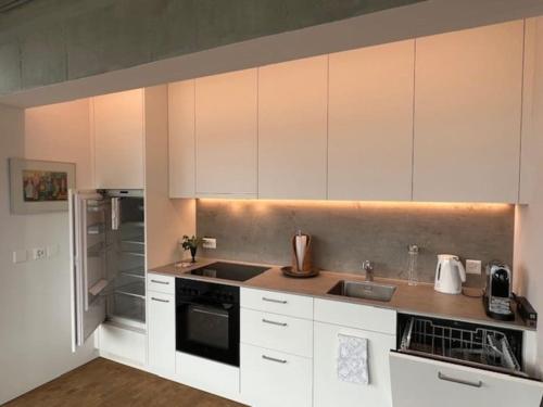 a kitchen with white cabinets and stainless steel appliances at Maisonette Gäste-Haus vor dem privaten Haupthaus in Sarnen