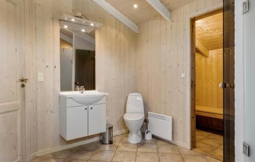 a bathroom with a white toilet and a sink at Stunning Home In Ringkøbing With Sauna in Ringkøbing