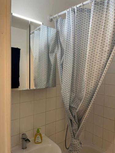 une salle de bain avec un rideau de douche et un lavabo dans l'établissement Charmant appartement Disneyland Paris 2 pers, à Bussy-Saint-Georges