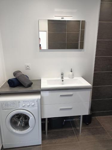 une salle de bain avec une machine à laver et un lavabo dans l'établissement Appartement 30 m2 neuf + terrasse, à Brindas