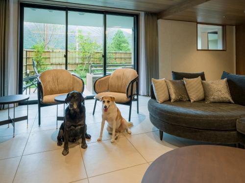 two dogs sitting on the floor in a living room at Rakuten STAY TERRACE Hakone Kowakudani in Hakone