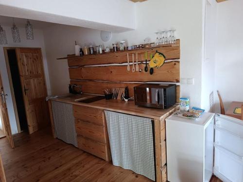 a kitchen with a counter with a microwave and a refrigerator at Ubytování v tichu u Českého Krumlova in Přídolí