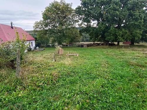 a field of green grass with a house and trees at Ubytování v tichu u Českého Krumlova in Přídolí