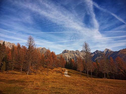 a field with trees and mountains in the background at Voss Haus- Ferienwohnung Freiraum in Sankt Lorenzen im Lesachtal