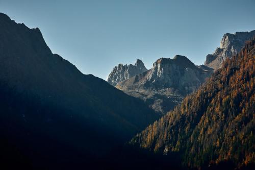 a view of a mountain valley with trees and mountains at Voss Haus- Ferienwohnung Freiraum in Sankt Lorenzen im Lesachtal