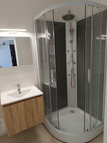 une salle de bain avec douche et lavabo dans l'établissement Dans la brise du Rhône, à Arles