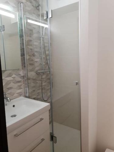 La salle de bains est pourvue d'une douche et d'un lavabo blanc. dans l'établissement Pretty little flat near from DisneyLand Paris, à Bussy-Saint-Georges