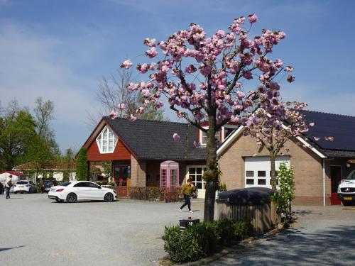 a tree with pink flowers in front of a building at Campingpark de Linie in Opheusden