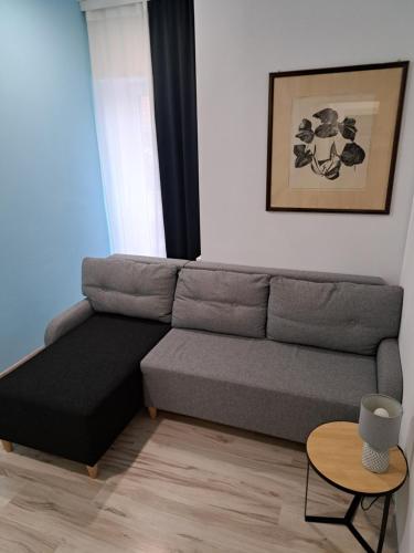 a living room with a couch and a table at Apartamenty Lawendowy Zakątek 2 in Opole