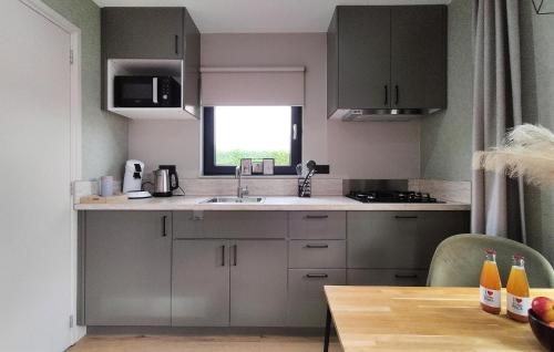 a kitchen with gray cabinets and a sink and a window at Stunning Apartment In Heinkenszand in Heinkensand