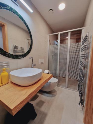 a bathroom with a sink and a toilet and a mirror at Apartmán Ski & Bike Janské Lázně in Janske Lazne