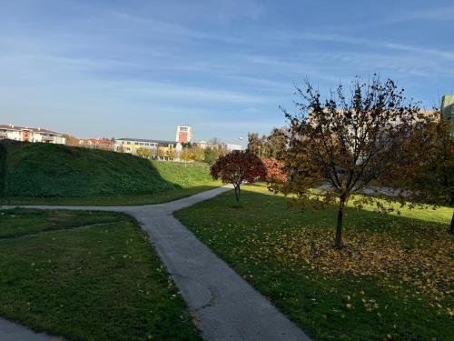 a path in a park with two trees in the grass at Apartmán LUPA in Nové Zámky
