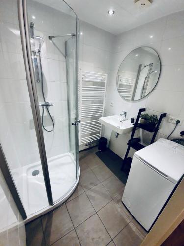 a bathroom with a shower and a sink at Drentse Sleutels 6 persoons huisje met jacuzzi in Erm
