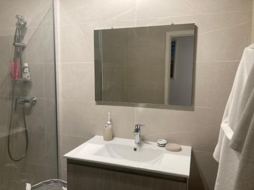 Le Nid D'Aiguelongue Parking Wifi Climatisation Terrasse في مونبلييه: حمام مع حوض ودش مع مرآة