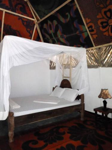 Llit o llits en una habitació de SHADRACK BackPackers