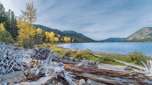a view of a body of water with trees at River Heights Home cabin in Leavenworth