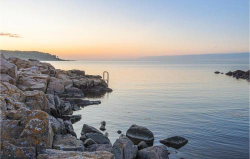 a group of seagulls standing on rocks in the water at Lovely Apartment In Allinge With Wifi in Allinge
