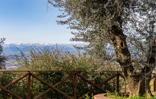 a tree and a fence with mountains in the background at Amazing Home In Morrovalle With Wifi in Morrovalle