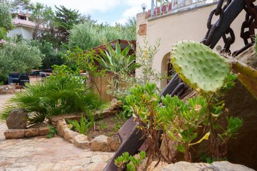 a garden with a cactus and other plants at Hotel Villa Belfiori in Torre Dei Corsari