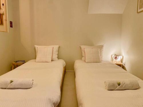 two beds in a room with a cat sitting between them at Le Joyeux - T3 au coeur du Quartier Haut in Sète