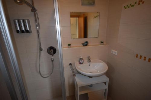 a bathroom with a shower and a sink at Nestwerk Komfort R23-13 - Balkon, Arbeitsplatz & Hochschulnähe in Biberach an der Riß
