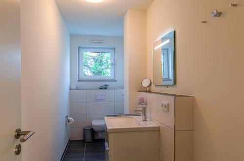 a bathroom with a sink and a toilet and a mirror at Hafenflair- Apartment mit Balkon & Kamin in der Hafenresidenz in Waren