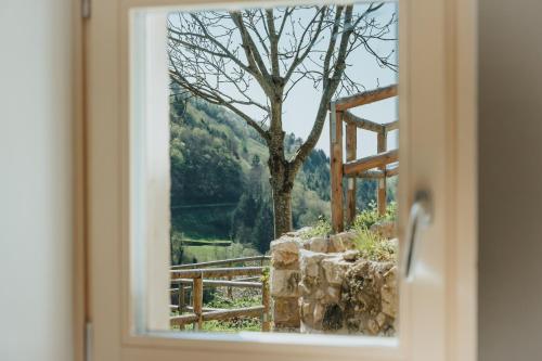 a window with a view of a tree and a fence at Agriturismo Angelino - Giazza Ljetzan in Selva di Progno