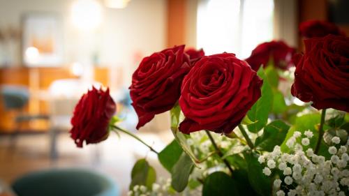 a bouquet of red roses in a vase at Hôtel Nell in Saint-Marcel