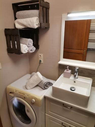 une salle de bain avec une machine à laver et un lavabo dans l'établissement Appartement 2 pièces Obernai proche centre ville, à Obernai